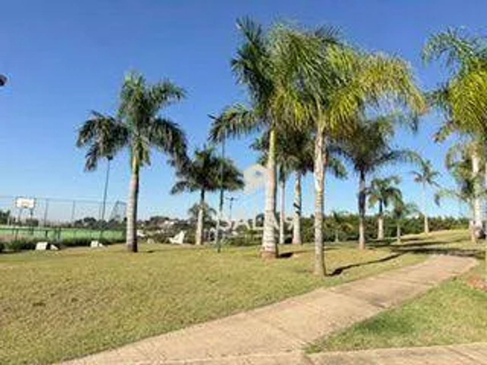 Avenida Jaime Pereira - Ondas, Piracicaba - São Paulo, foto 8